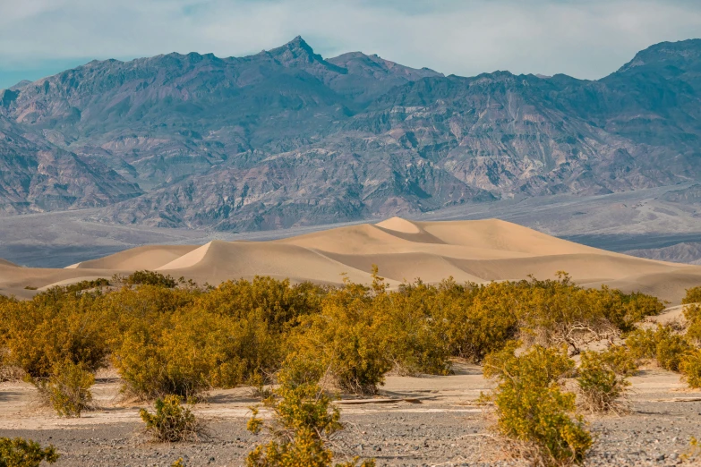 a mountain range with lots of desert vegetation