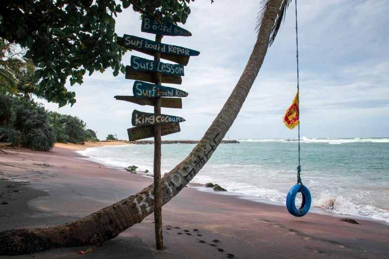 beach with life preserver hanging on palm tree