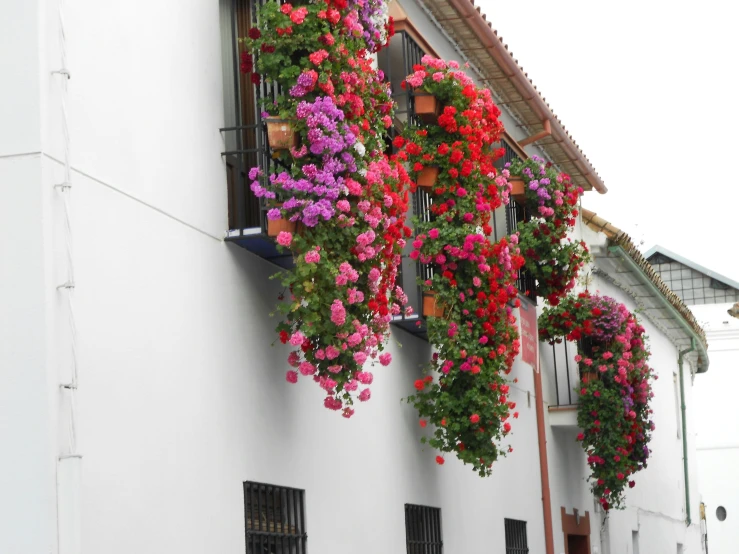 the front of a building has flowers on them