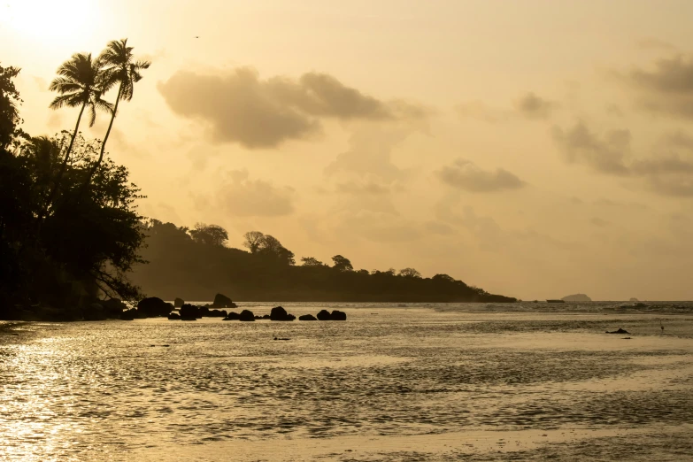 an ocean with palm trees and a body of water