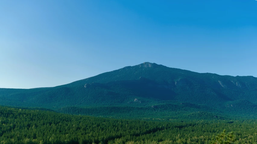 a mountain with a few trees on the side