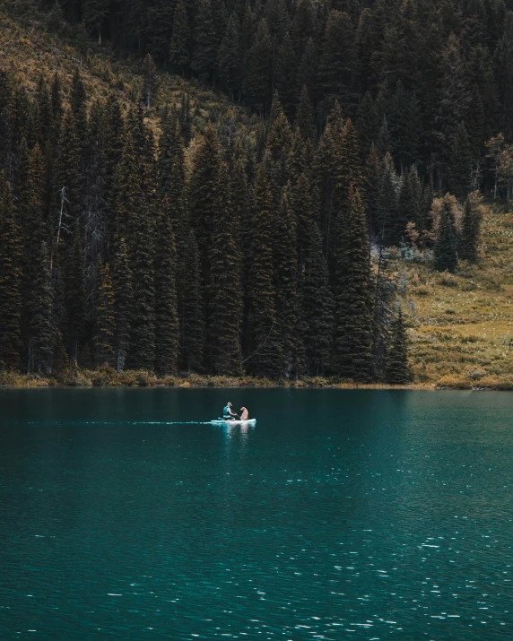 a person swimming on a body of water with tall trees in the background