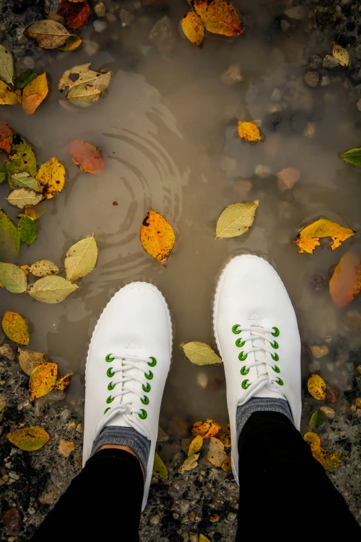 a white pair of sneakers sitting on top of a dle of water