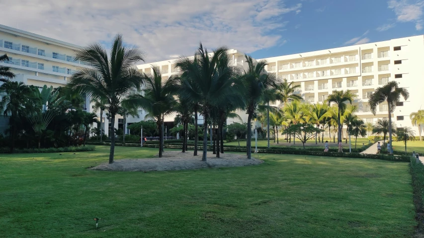 a view of a building and palm trees in the distance