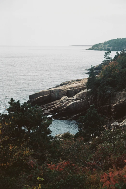 a lone bird flying over a scenic ocean