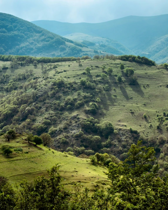 the landscape of this mountain has green and lush trees