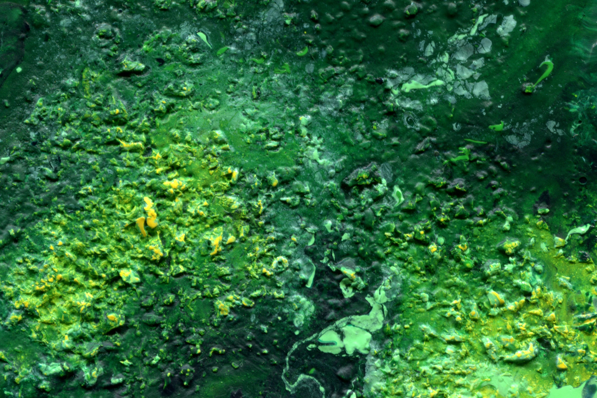 an area that is covered in green algae