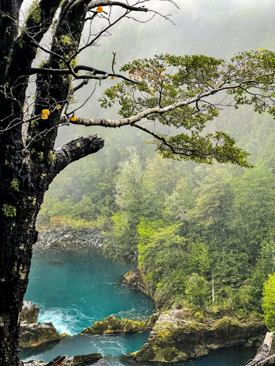 a lone elephant on the rocks by a blue lake