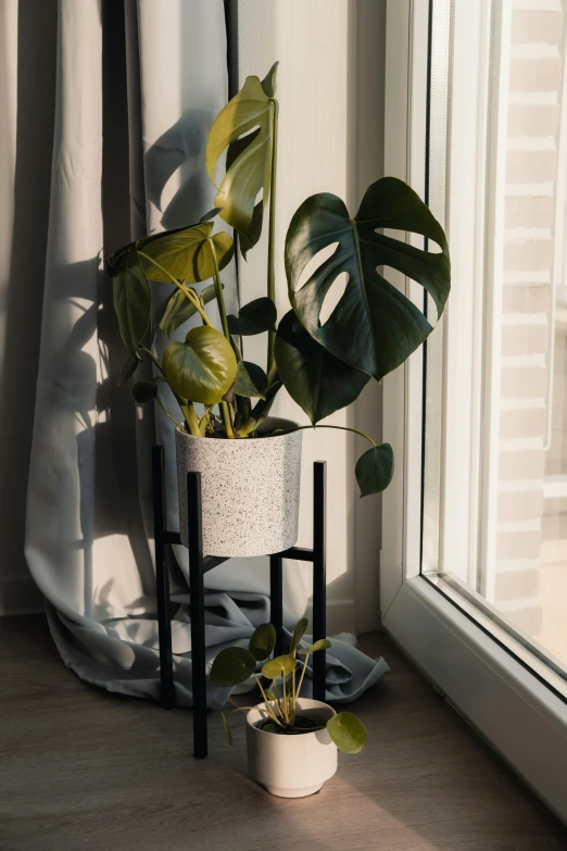 there is a small plant in a pot next to a window