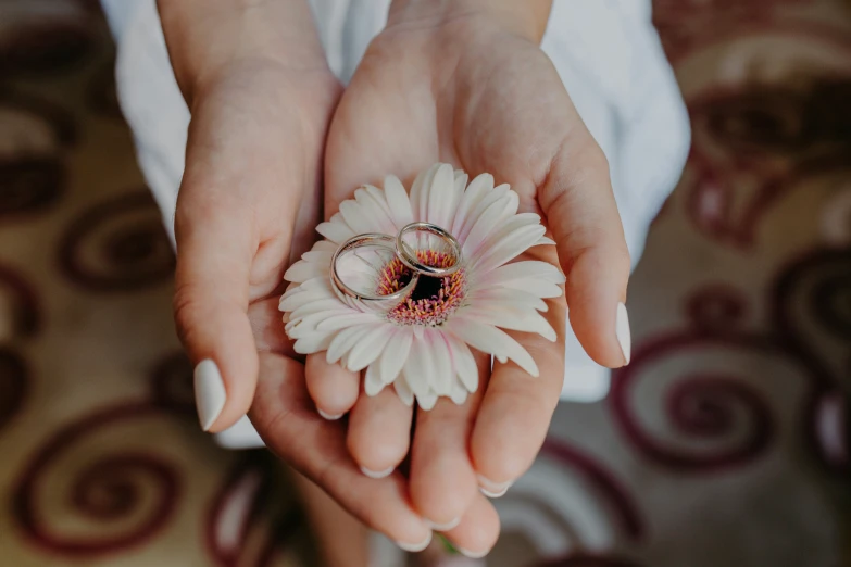 two hands holding white flower with two rings