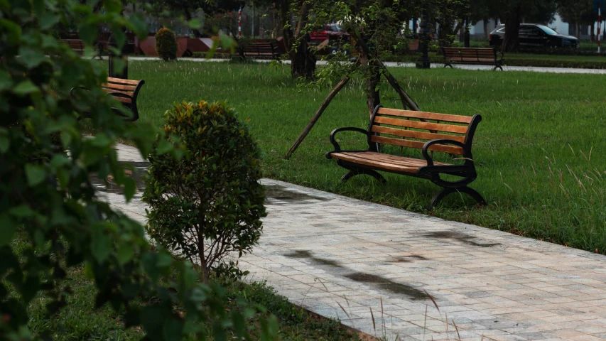 a bench is in a park by the bushes