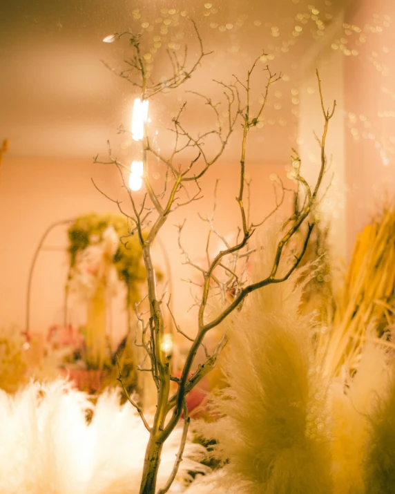 a display of flowers and feathers with lights