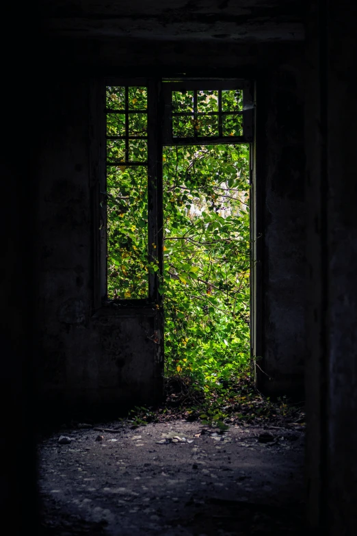 the entrance to an abandoned room, with open windows on either side of it