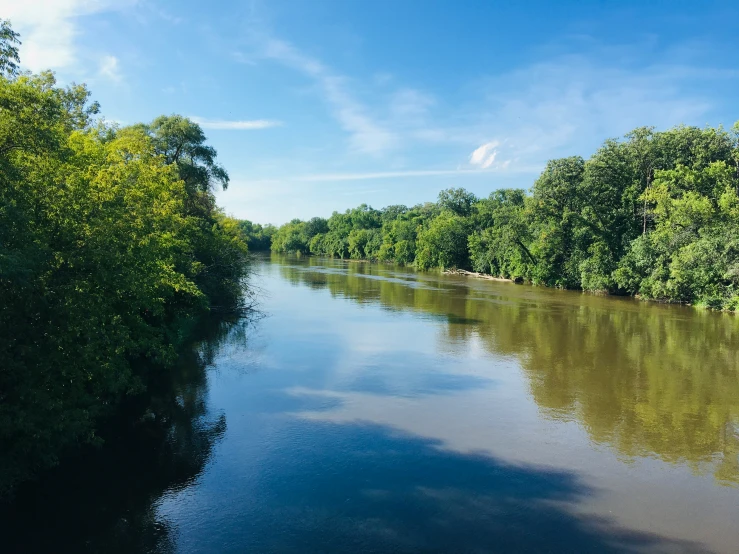 a river running through a green forest under blue skies