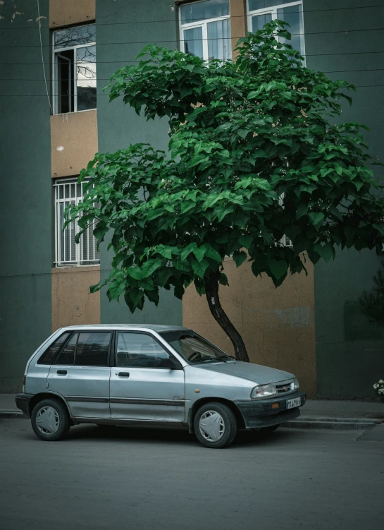 the small car is parked near the tree