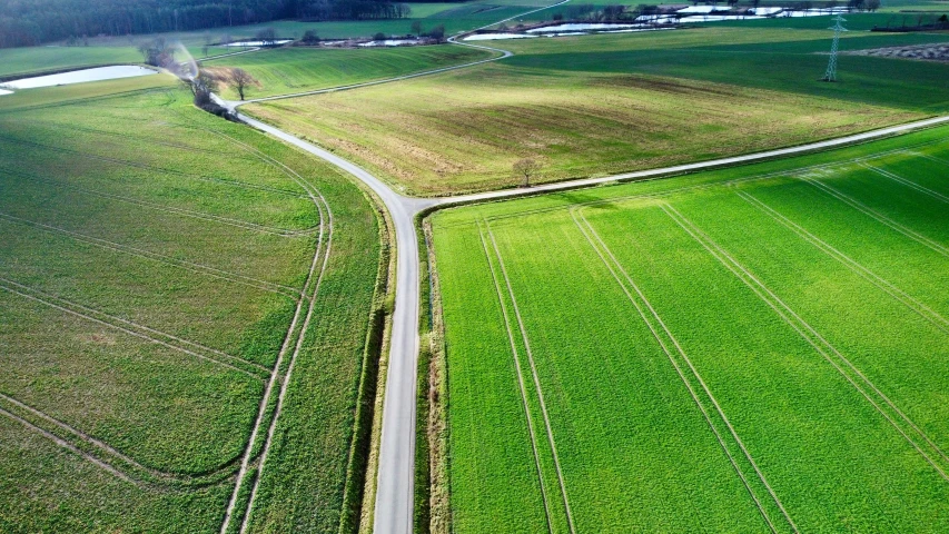 a road runs through a green field near a farm