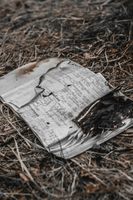 a piece of old newspaper laying in a field