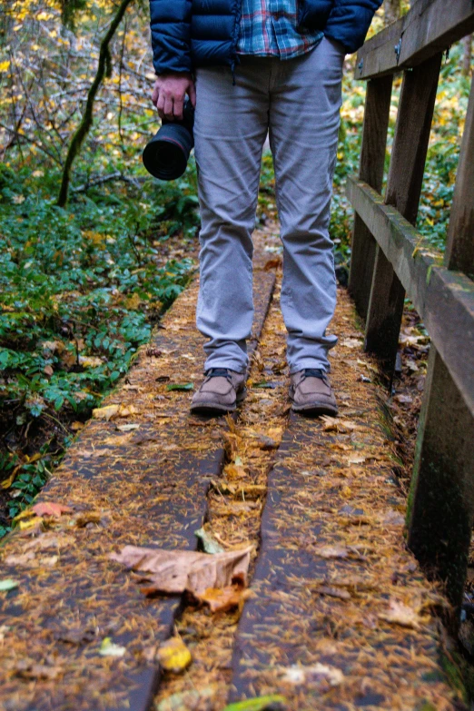 man with his camera on a walkway in the woods