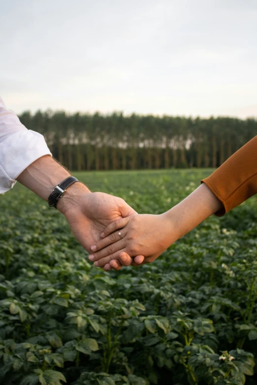 two people holding hands in front of a field