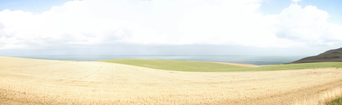 the land near a large body of water is brown and grassy