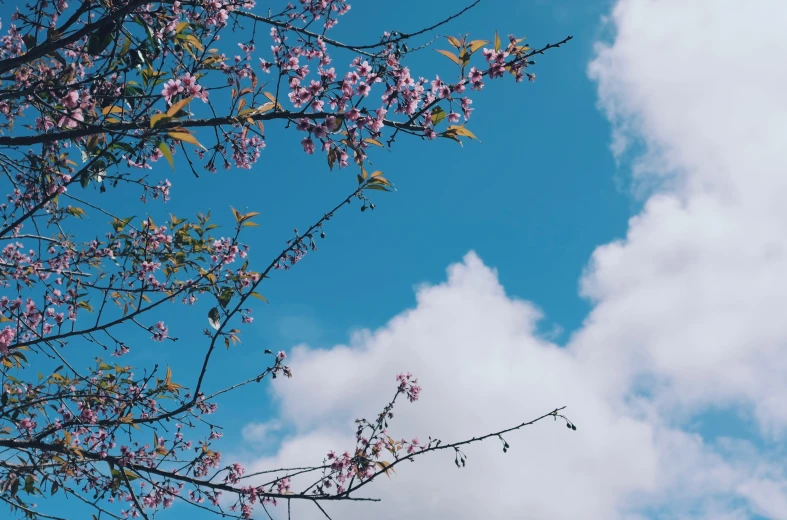 a blue sky and some white clouds