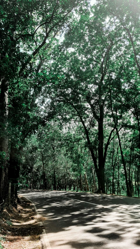 the road with the parking lot between trees