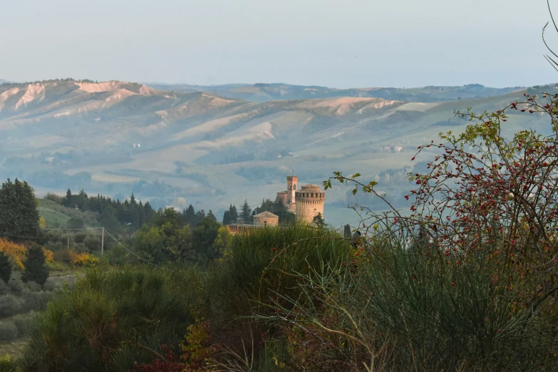 a small tower in the mountains with some bushes