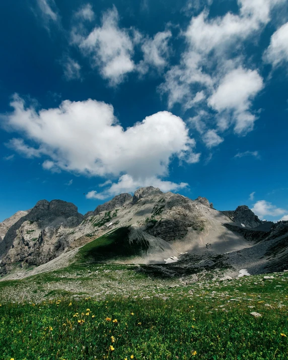 a large rocky mountain with flowers in the field below