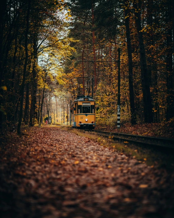 a train in the middle of a leaf covered road