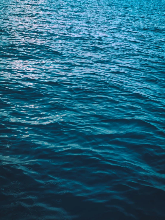 water is glistening on the horizon, blue with small ripples