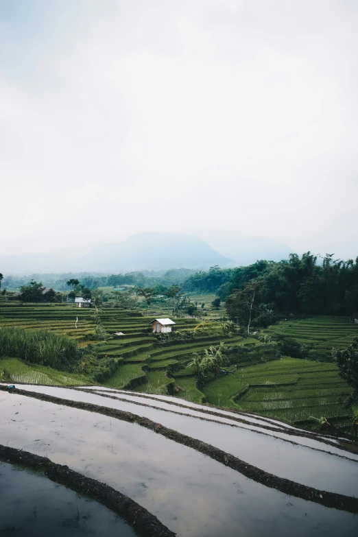 the view from inside a house looking over a rice field