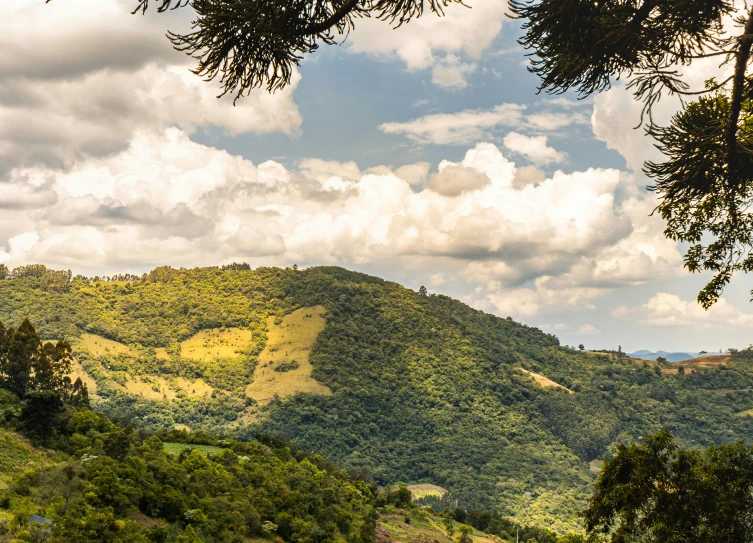 a hill with trees on the top and the hills on the far side