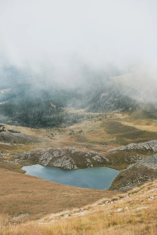 a cow standing next to a mountain lake