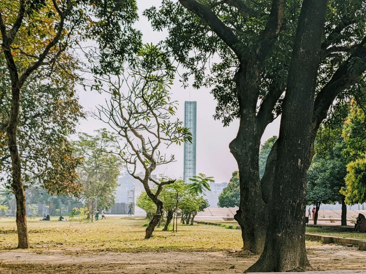 many people are sitting under the shade of trees