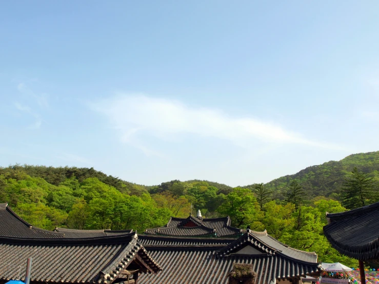 the roofs of some asian architecture stand out in the mountains