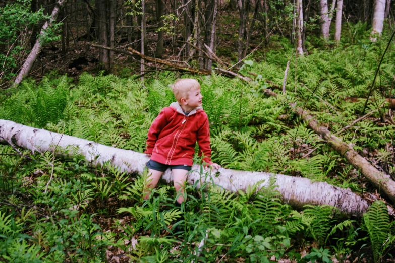 a  in a red jacket is playing with a log