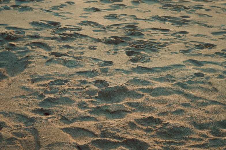 a sandy beach with footprints and waves