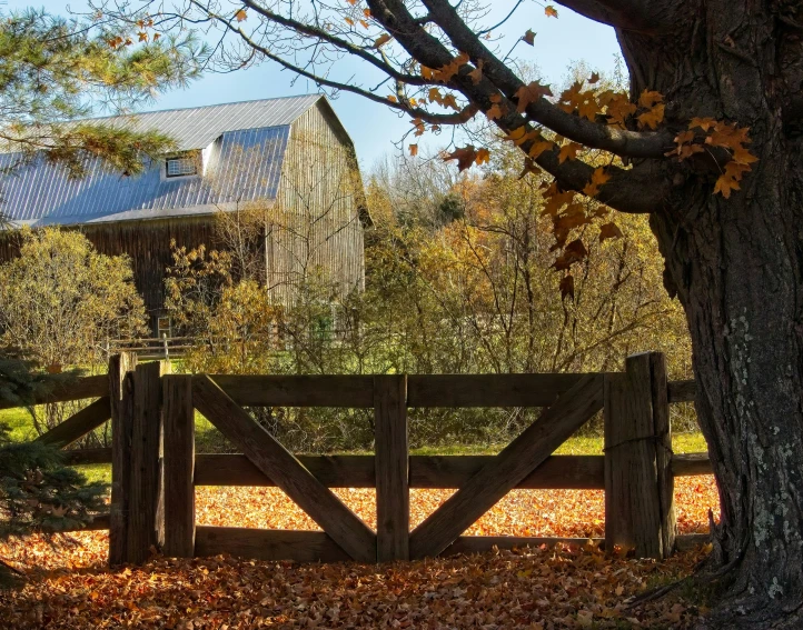 an open gate in front of a tree and building