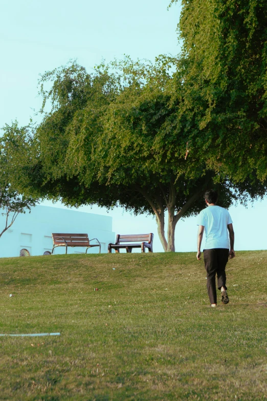 a man standing in a field looking at benches