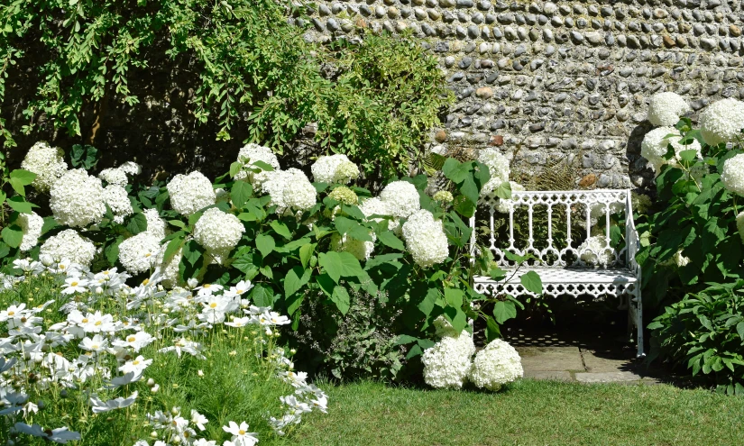 a white park bench in front of a large bunch of flowers