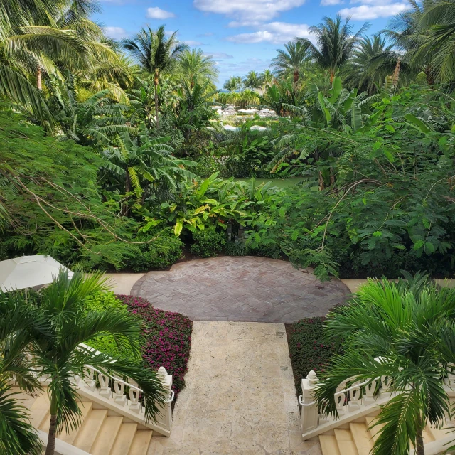 a view from above looking down at stairs and gardens