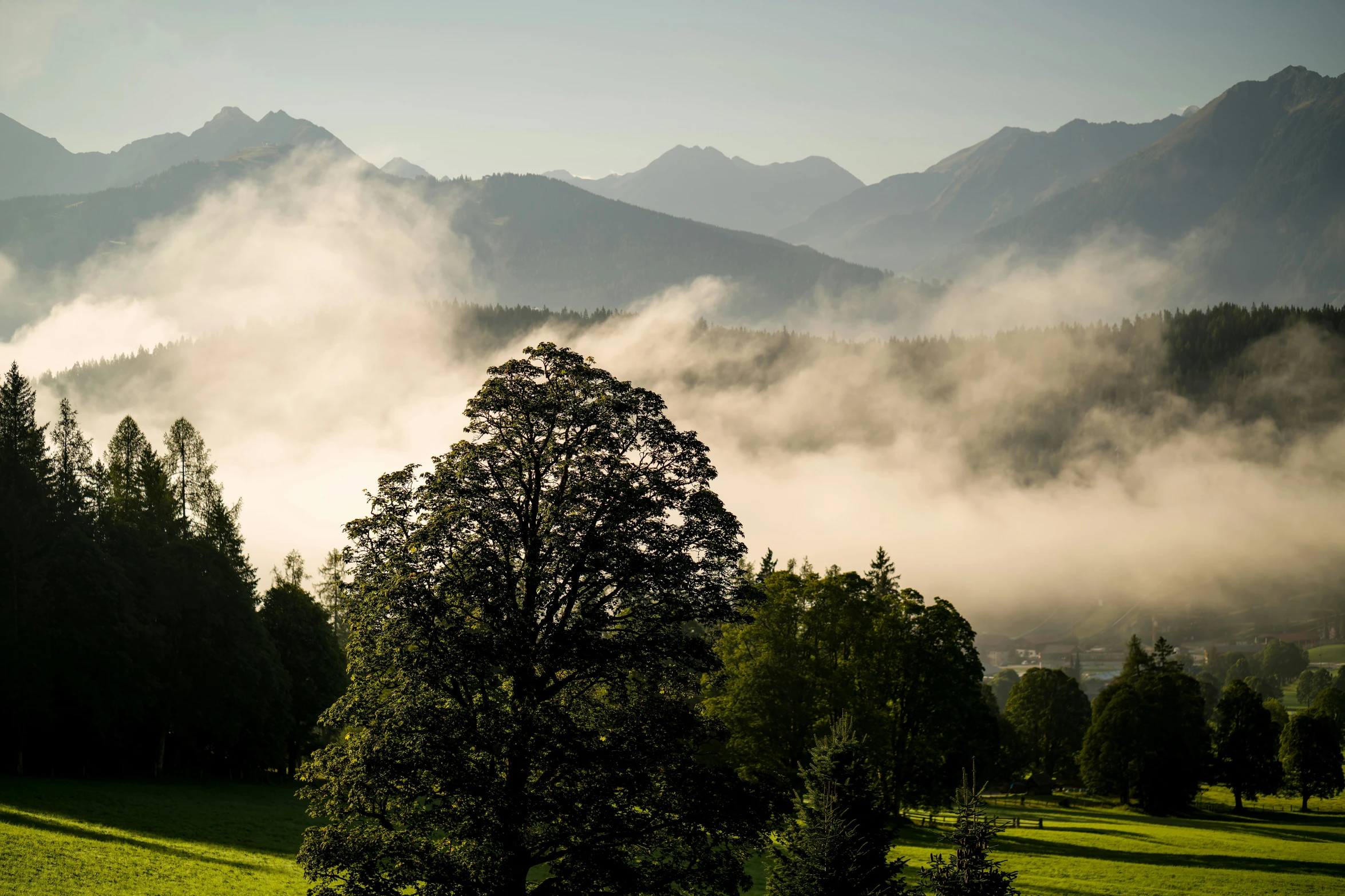 a view of mountains and trees surrounded by clouds