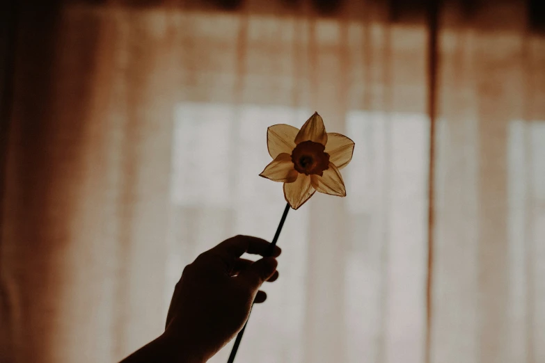 someone holds the flowers up while they're taking pictures