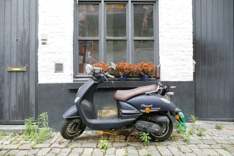 the motor scooter is parked beside a flower box on the pavement