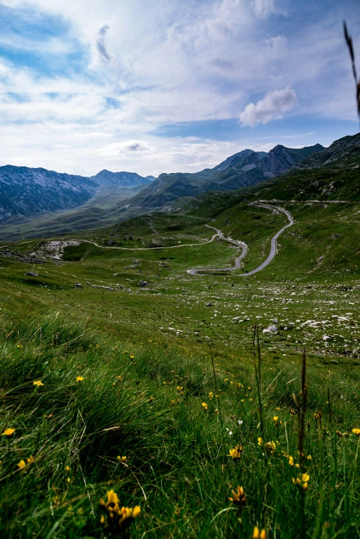 a grassy hill with a valley and winding road