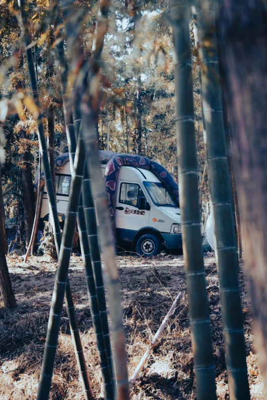a white van that is out in the woods