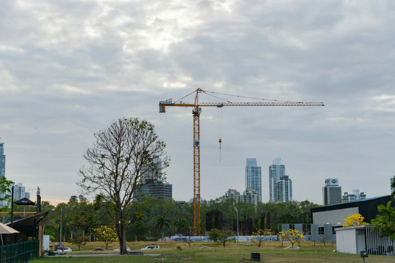 cranes are in the city on the construction site