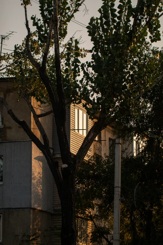 a street sign is shown against the sun setting