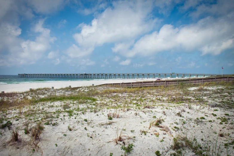 a beach scene with the ocean and a pier