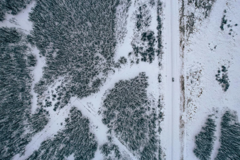 aerial view of a path through a winter wonderland